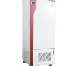 BMJ-100 霉菌培养箱