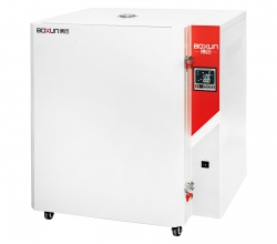 湖南BGG-38 高温鼓风干燥箱