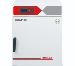 湖南BXH-65 电热鼓风干燥箱