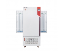 BSG-300 光照培养箱