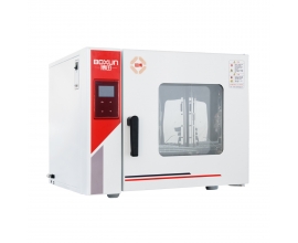 娄底BGZ-30 电热鼓风干燥箱（250℃）