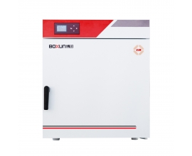 BGZ-246 电热鼓风干燥箱（300℃）