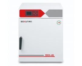 BXH-65 电热鼓风干燥箱