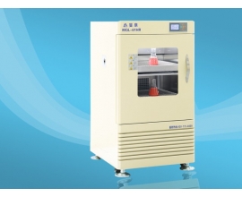 MQL-61HR 立式振荡培养箱