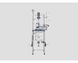 玻璃反应釜GR-10