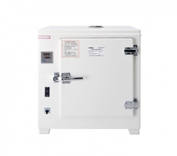 电热恒温鼓风干燥箱HGZF-101