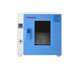 电热恒温鼓风干燥箱HGZF-II-101