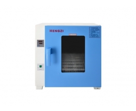 电热恒温鼓风干燥箱HGZF-II-101