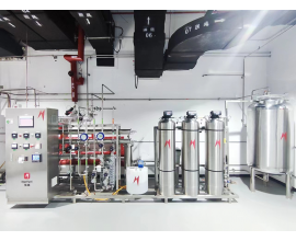 ICM-P 系列制药/生物技术纯化水系统