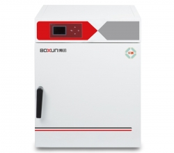 BXP-300N自然对流培养箱
