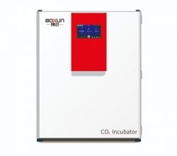 BX-260CS二氧化碳培养箱（干热灭菌）