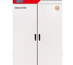 娄底BGZ-1006电热鼓风干燥箱