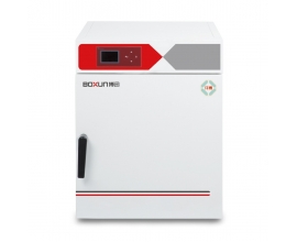 BXP-300N自然对流培养箱